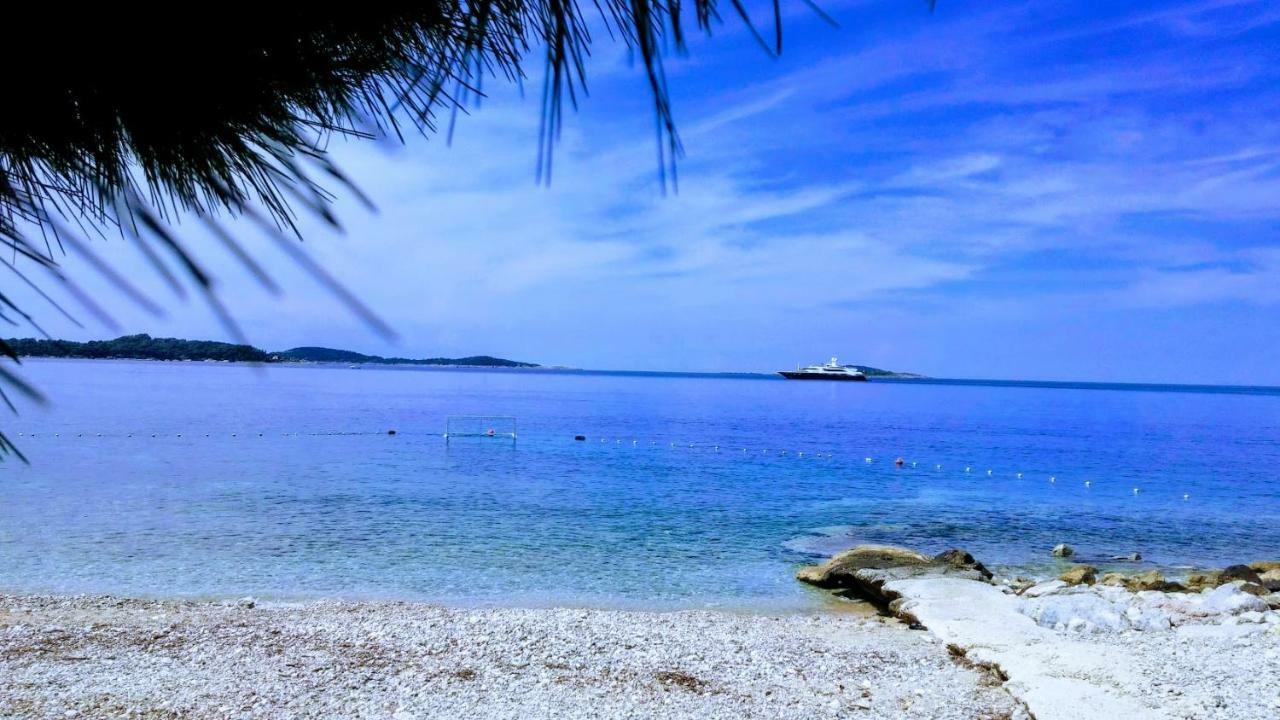 Eli - Sea View